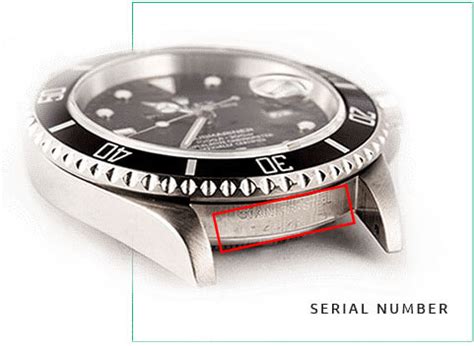 where can i check my rolex serial number